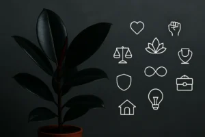 گل فیکوس بلک نماد چیست؟